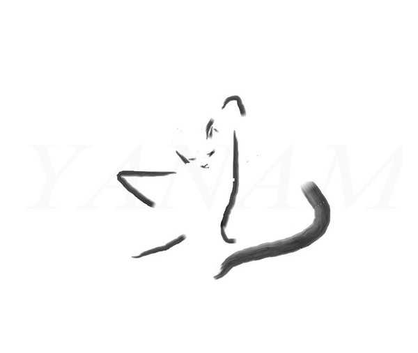 cat sitting