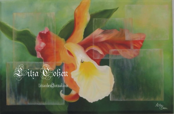 Orangish Orchid