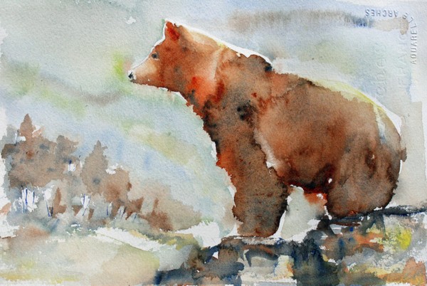 Bear