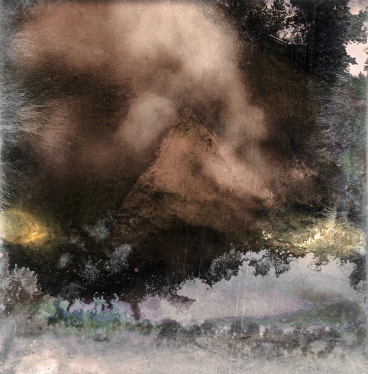 Amalgamated Fragmentation / Microbscape 9