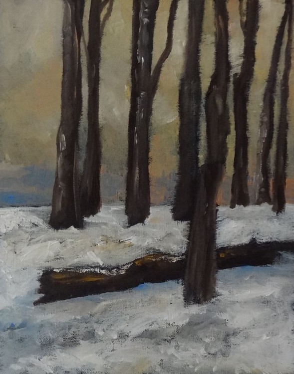 Winter at the Farm