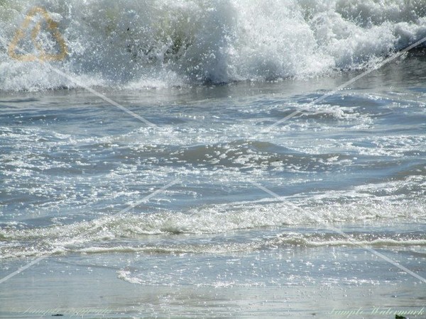 Rushing Wave