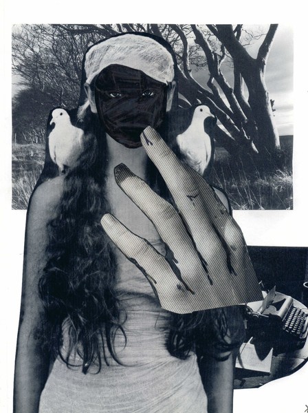 WhiteDovePoem 