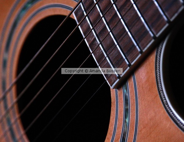 Guitar Close up