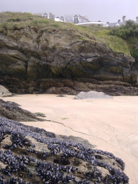 porth 2011 july