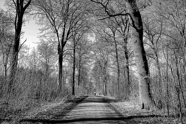 Denmark 2012