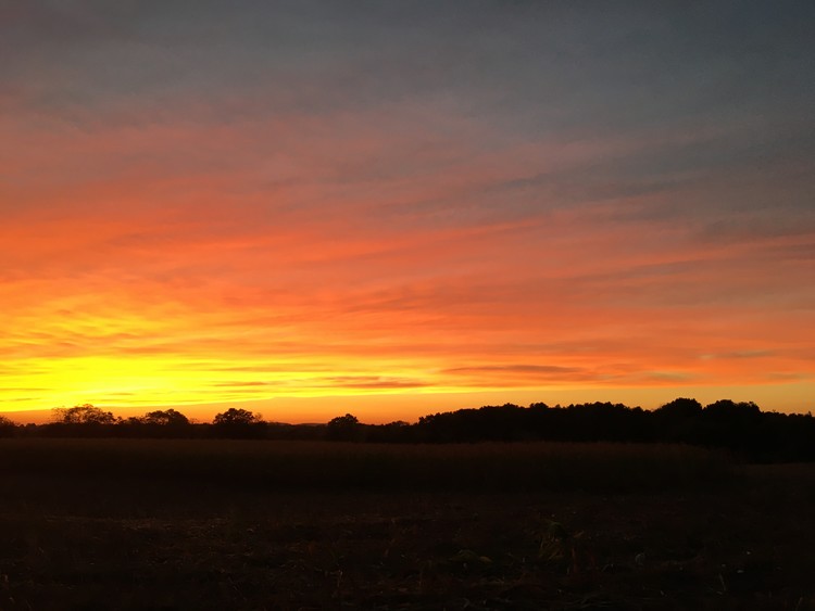 October Sunset 2