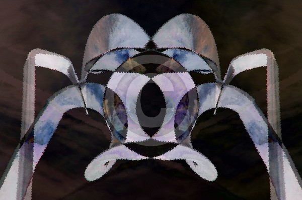 Metallic Spider