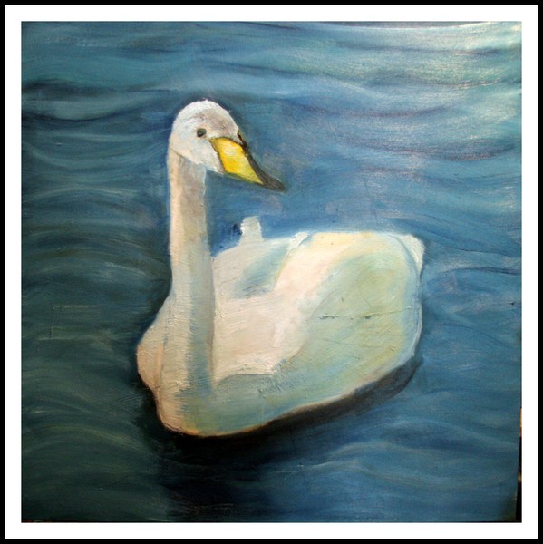 Swan