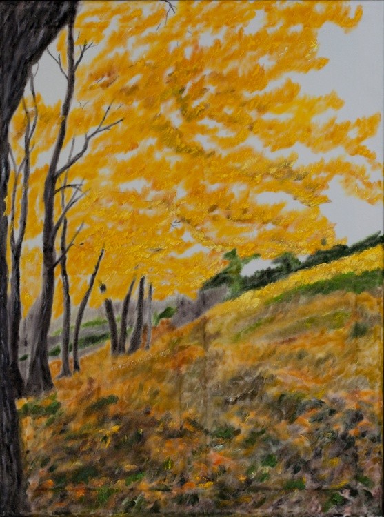 Forest in autumn