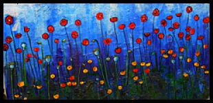 Afghanistan Opium Poppy Fields