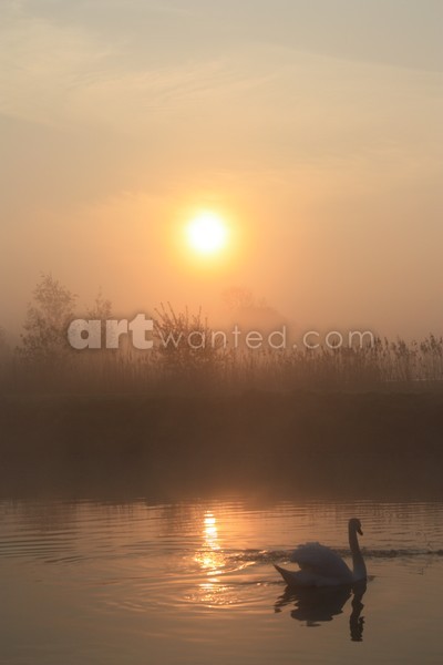 The Peace Of Dawn