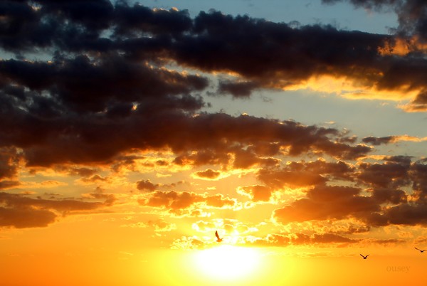 angery sunset