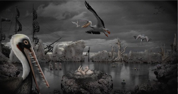 Bad Pelicans
