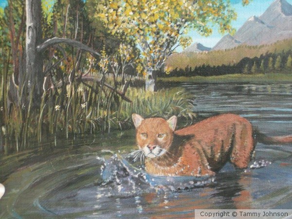 Mt lion in water