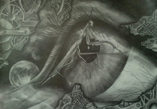 drawing
