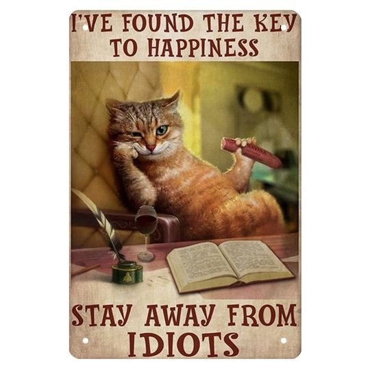 happycats (6)