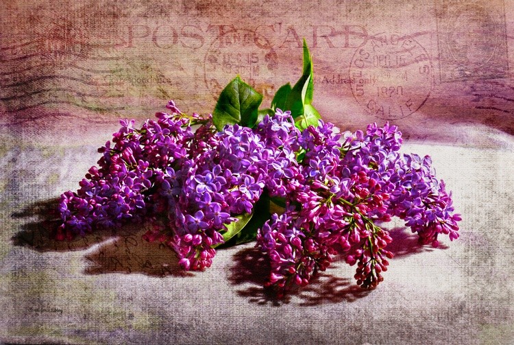 Heaven Scent