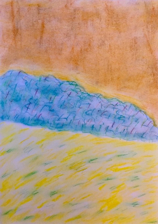 Rapeseed field