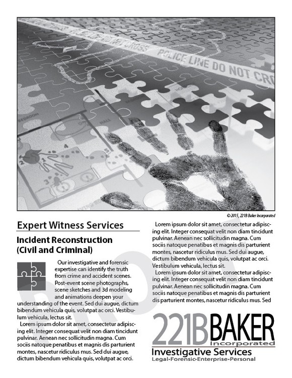 P.I. & Forensics 3 - In Layout