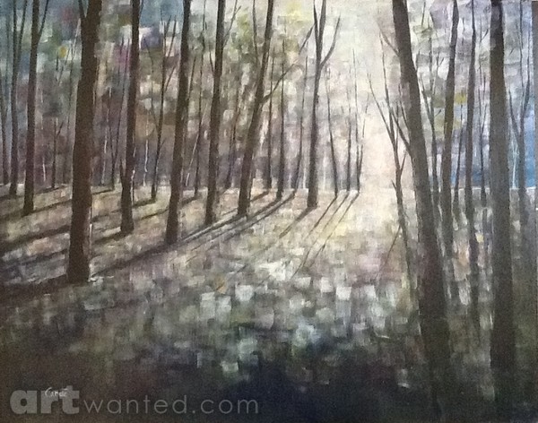 Forest light#2