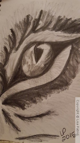 Cat's eye