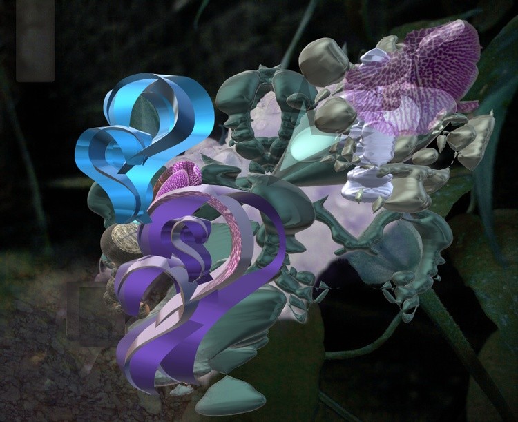 night flower