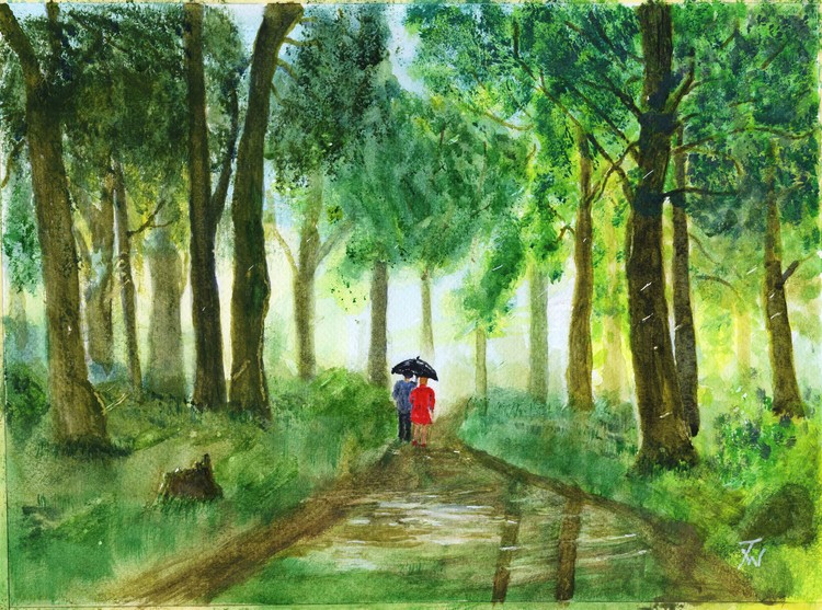 Rainy Forest