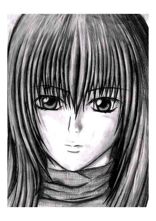 pencil sketch