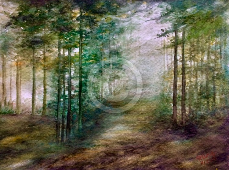 Forest 