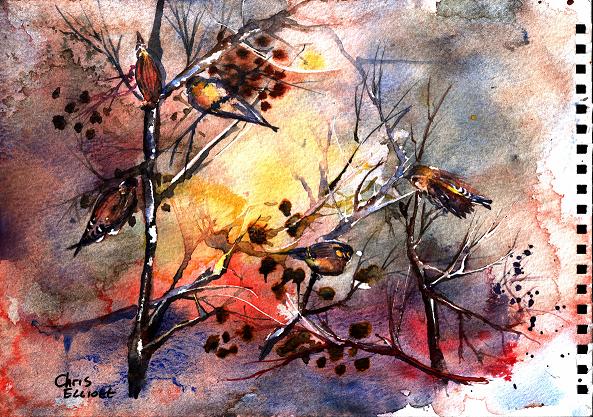 Siskins in Autumn