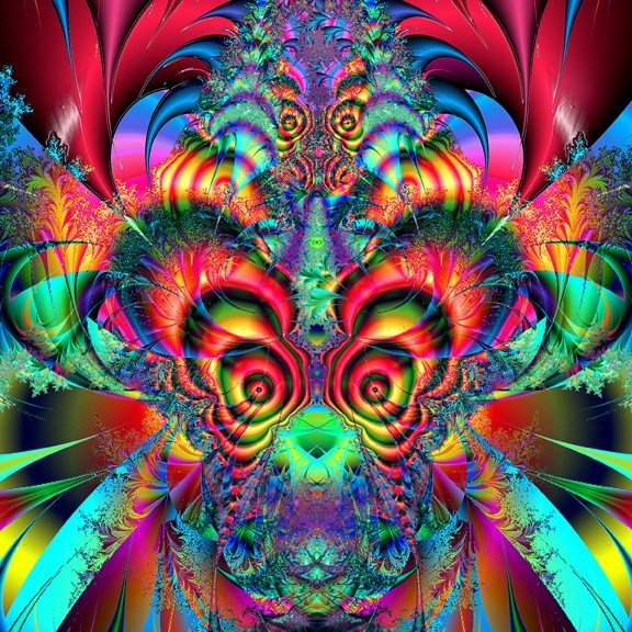 FREAKOUT