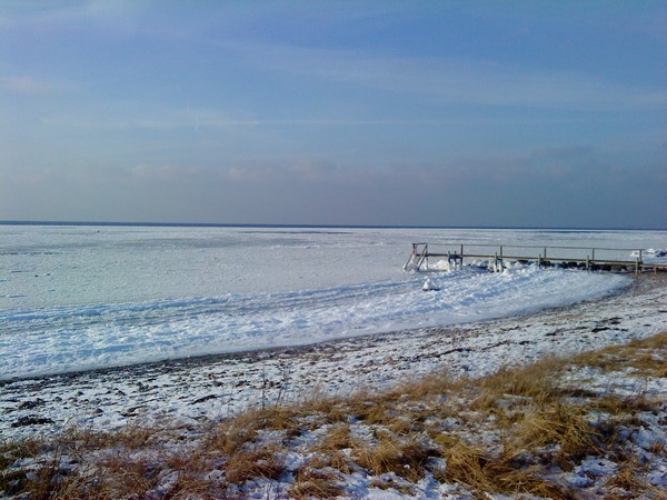 ice ice Baby