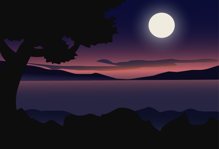 silent night