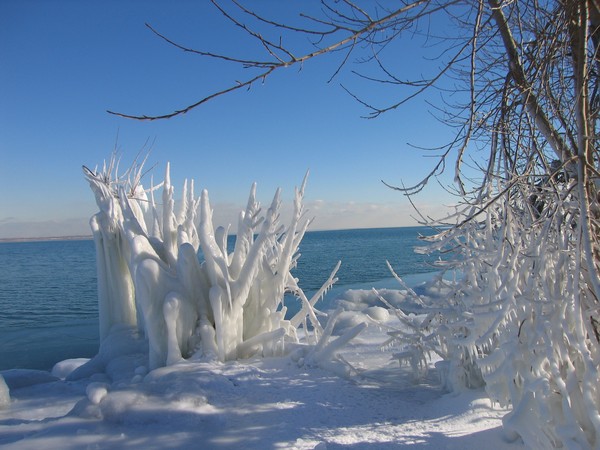 Winter Beauty 1.