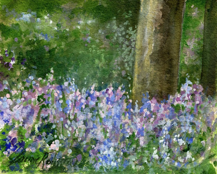 Bluebells Under the Trees