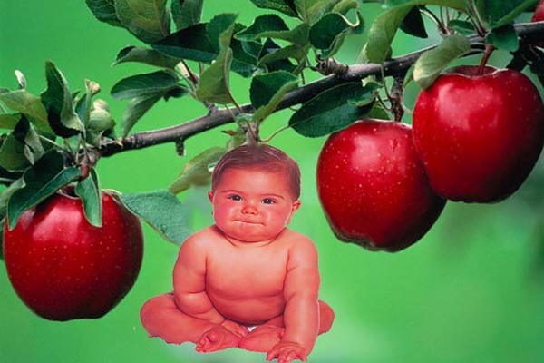 birth