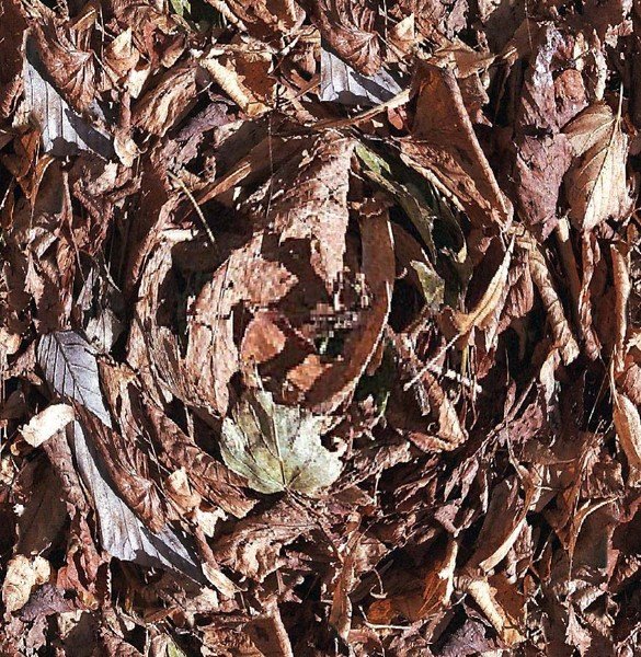 Autumn Swirl.....