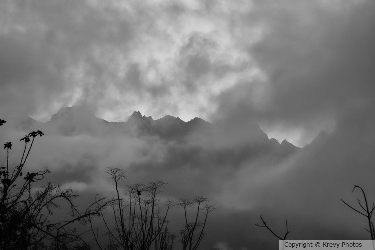 Morning Fog