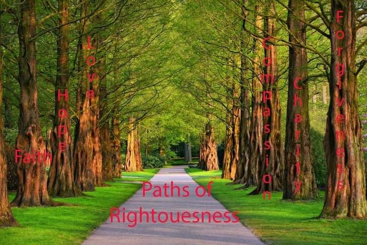 The path.