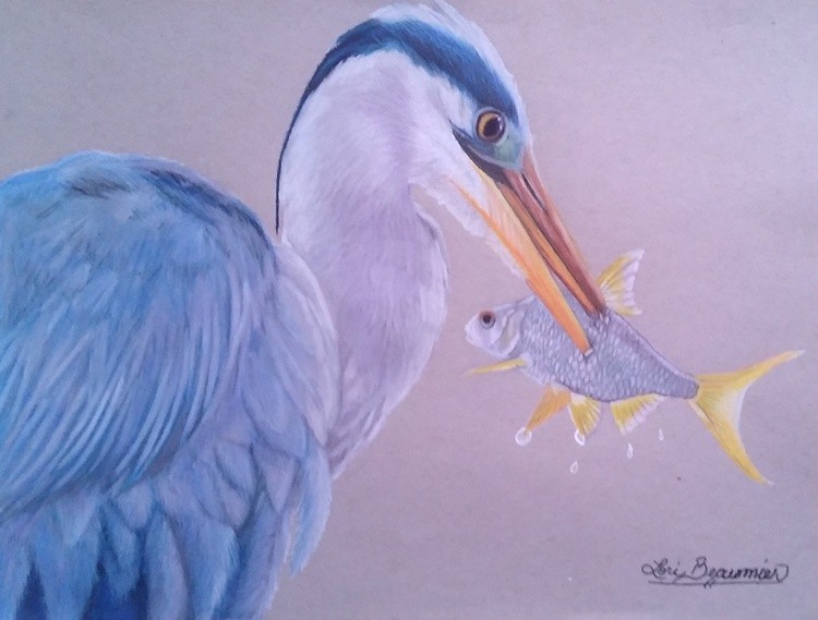 Blue Heron 