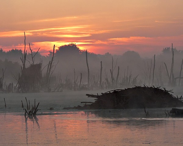 Morning Appears