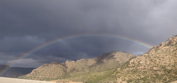 Rainbow 