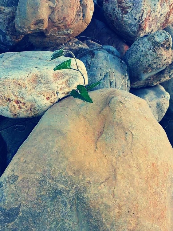 You will make it one day..