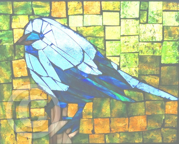 bluebird adjusted