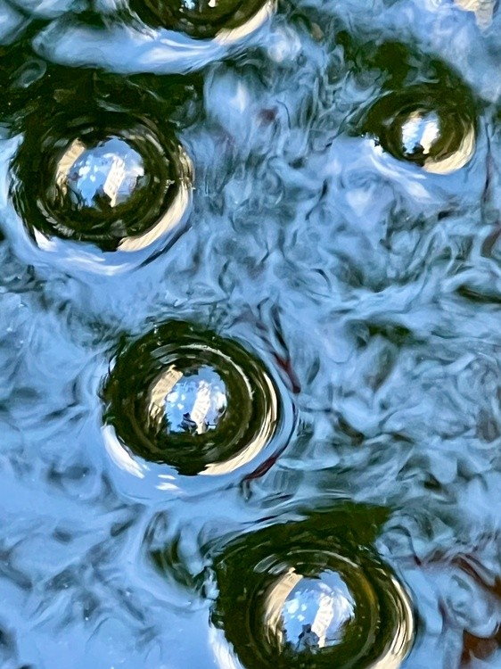 Fountain
