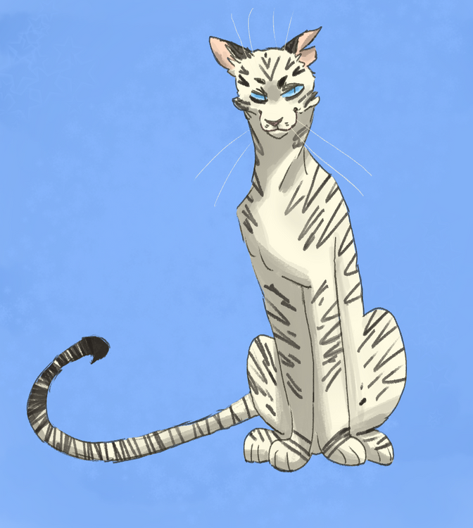 longtail