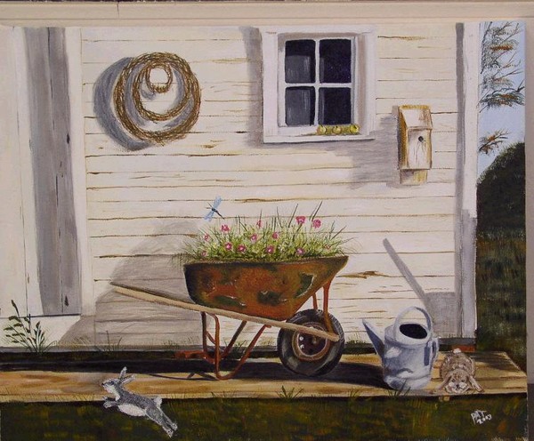 Country Shed