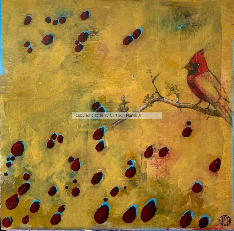 St. Louis Red Bird