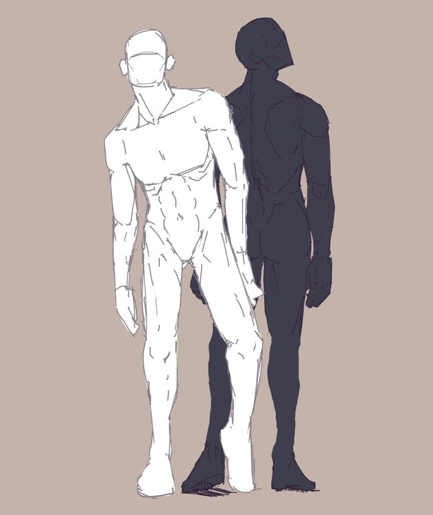 Anatomy